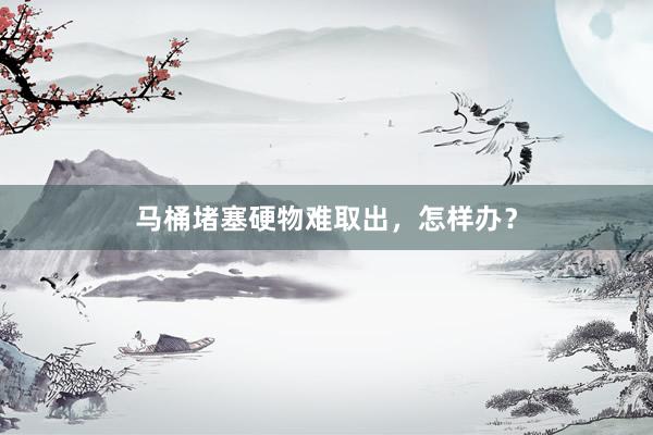 马桶堵塞硬物难取出，怎样办？