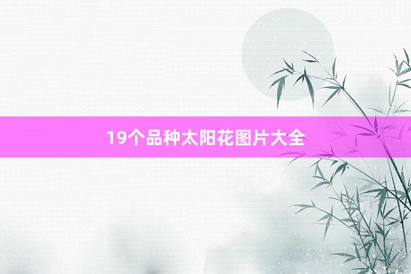 19个品种太阳花图片大全