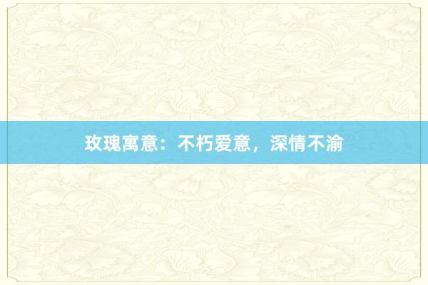 玫瑰寓意：不朽爱意，深情不渝
