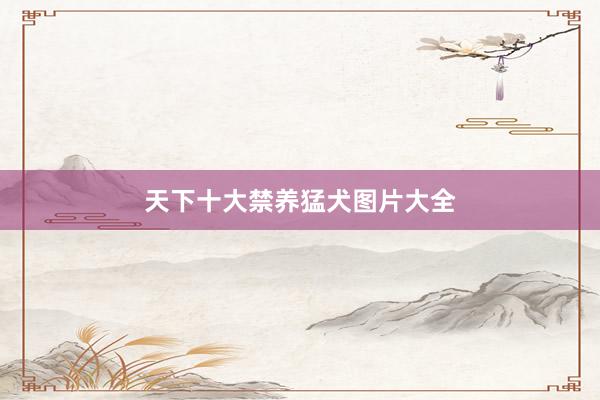 天下十大禁养猛犬图片大全